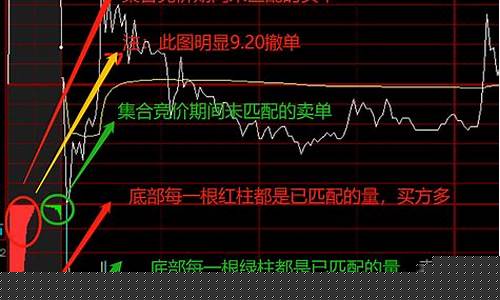 集合竞价视频讲解(集合竞价视频讲解大全)_https://www.xzdzchf.com_科创板_第1张