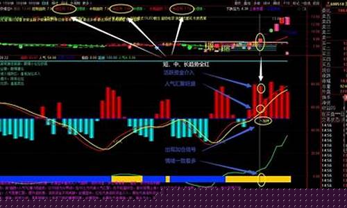 通达信人气排名怎么看(通达信如何调出综合排名)_https://www.xzdzchf.com_上交所_第1张