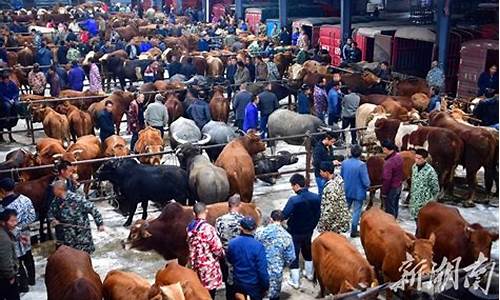 金华牛交易市场地址(金华牛羊交易市场地址)_https://www.xzdzchf.com_深交所_第1张