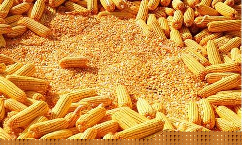 饲料原料采购网(饲料原料采购网站有哪些)_https://www.xzdzchf.com_深交所_第1张