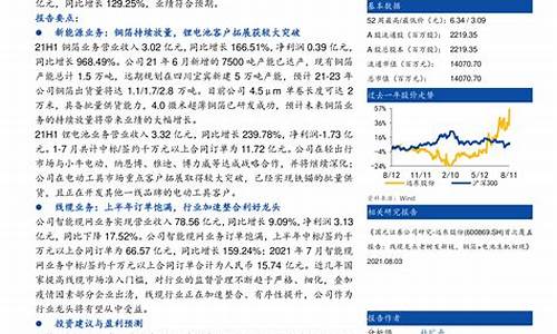 远东股份2021年中报预告公告_https://www.xzdzchf.com_深交所_第1张