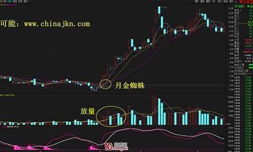 金蜘蛛k线形态疫情股(金蜘蛛k线形态买入为什么股价下跌)_https://www.xzdzchf.com_创业板_第1张