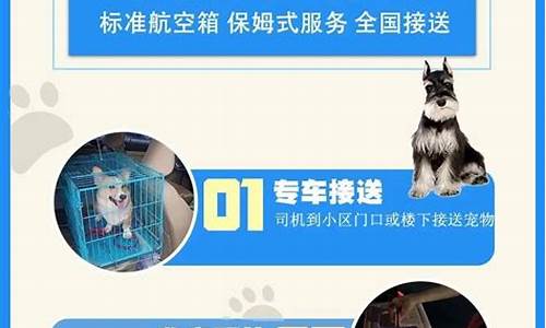 猫托运价格表2023(飞机托运猫价格表)_https://www.xzdzchf.com_上交所_第1张