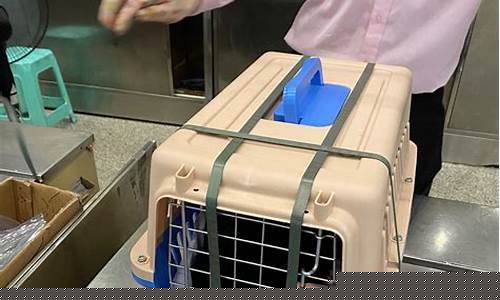 飞机能托运猫嘛(飞机可以托运猫咪么)_https://www.xzdzchf.com_上交所_第1张