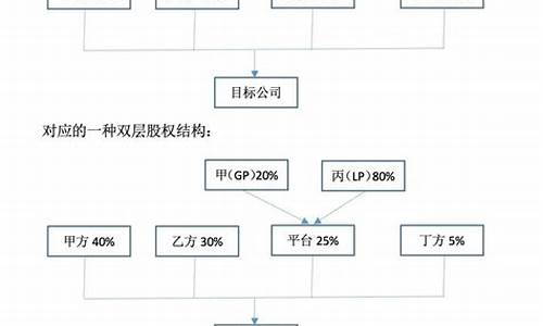 公司股权架构图解(公司股权架构图解视频)_https://www.xzdzchf.com_深交所_第1张