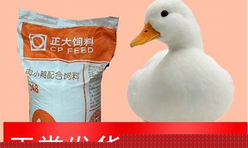 鸭饲料90一100元一袋(现在鸭饲料多少钱100斤)_https://www.xzdzchf.com_北交所_第1张