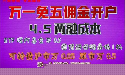 融资融券100万一天多少利息(但只买了20万)_https://www.xzdzchf.com_深交所_第1张