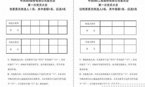 选举划票是什么意思(画选票还是划选票比较合适)_https://www.xzdzchf.com_创业板_第1张