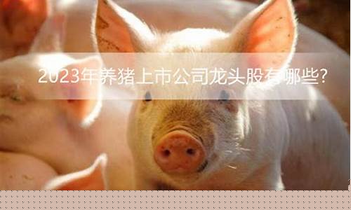 养猪的上市企业有哪些(国内养猪十大上市企业)_https://www.xzdzchf.com_科创板_第1张
