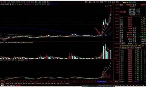 通化金马属于什么板块(通化金马新消息)_https://www.xzdzchf.com_科创板_第1张