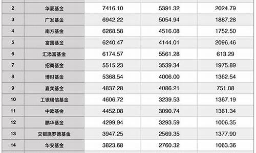 中国十大基金公司排名(中国十大私募基金公司排名)_https://www.xzdzchf.com_科创板_第1张
