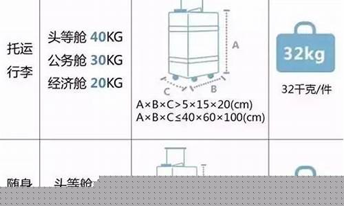 航空托运物品限制有哪些(航空托运物品限制有哪些类型)_https://www.xzdzchf.com_科创板_第1张