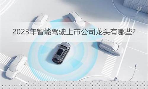 智能驾驶龙头上市公司(智能驾驶的龙头股票)_https://www.xzdzchf.com_深交所_第1张