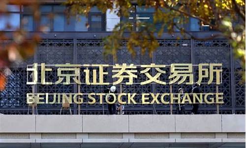 北交所的证券代码(北交所证券代码表记录不存在怎么办)_https://www.xzdzchf.com_创业板_第1张