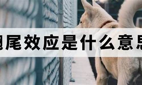 翘尾意思(翘尾政策是什么意思)_https://www.xzdzchf.com_上交所_第1张