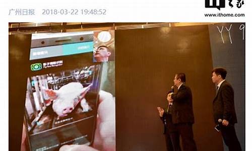 手机扫一扫计算猪的体重(毛猪计算公式口诀)_https://www.xzdzchf.com_北交所_第1张