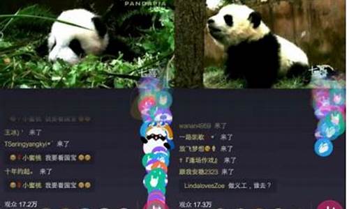 熊猫财经直播室(熊猫直播财报)_https://www.xzdzchf.com_科创板_第1张