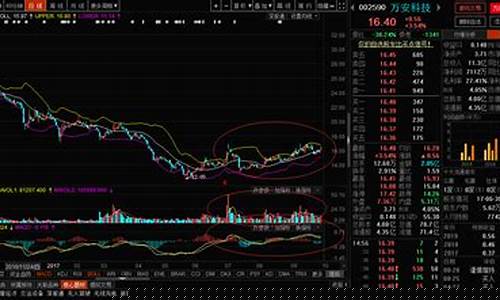 明日牛股推荐(明日a股大牛市)_https://www.xzdzchf.com_深交所_第1张