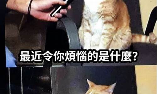 10880000是什么证券公司(10170000是哪个证券公司)_https://www.xzdzchf.com_科创板_第1张