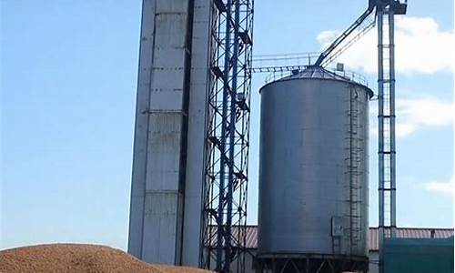一万吨粮仓需要多少钱(一万吨粮库有多大)_https://www.xzdzchf.com_上交所_第1张