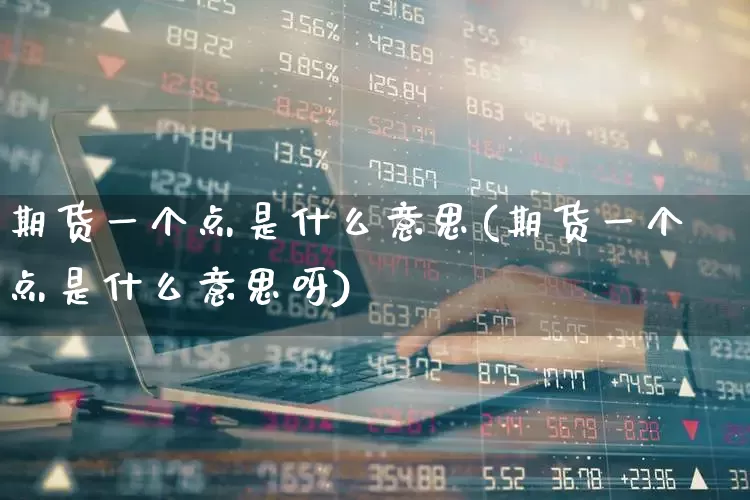 期货一个点是什么意思(期货一个点是什么意思呀)_https://www.xzdzchf.com_北交所_第1张