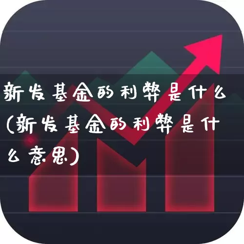 新发基金的利弊是什么(新发基金的利弊是什么意思)_https://www.xzdzchf.com_创业板_第1张