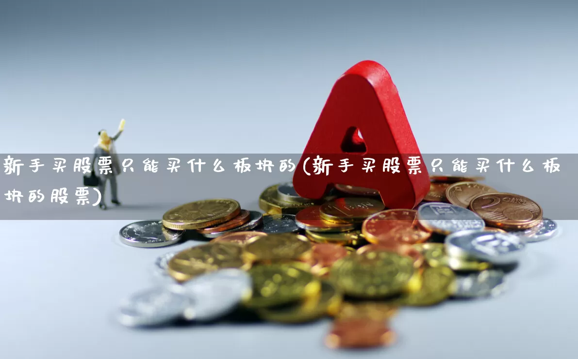 新手买股票只能买什么板块的(新手买股票只能买什么板块的股票)_https://www.xzdzchf.com_北交所_第1张