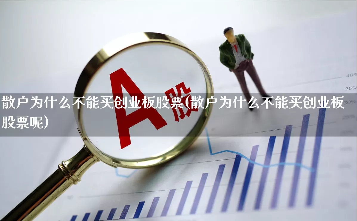 散户为什么不能买创业板股票(散户为什么不能买创业板股票呢)_https://www.xzdzchf.com_科创板_第1张