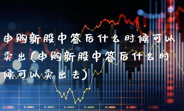 申购新股中签后什么时候可以卖出(申购新股中签后什么时候可以卖出去)_https://www.xzdzchf.com_科创板_第1张