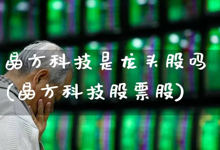 晶方科技是龙头股吗(晶方科技股票股)_https://www.xzdzchf.com_科创板_第1张