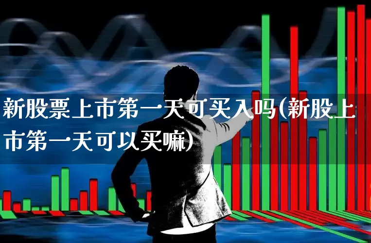 新股票上市第一天可买入吗(新股上市第一天可以买嘛)_https://www.xzdzchf.com_创业板_第1张