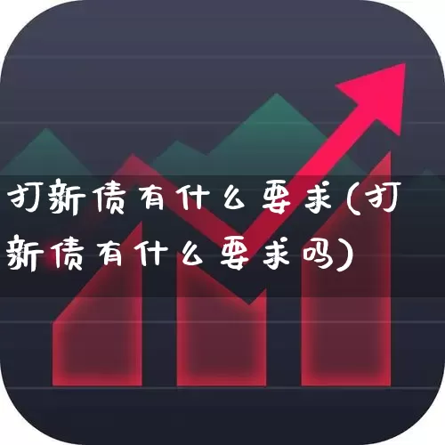 打新债有什么要求(打新债有什么要求吗)_https://www.xzdzchf.com_北交所_第1张