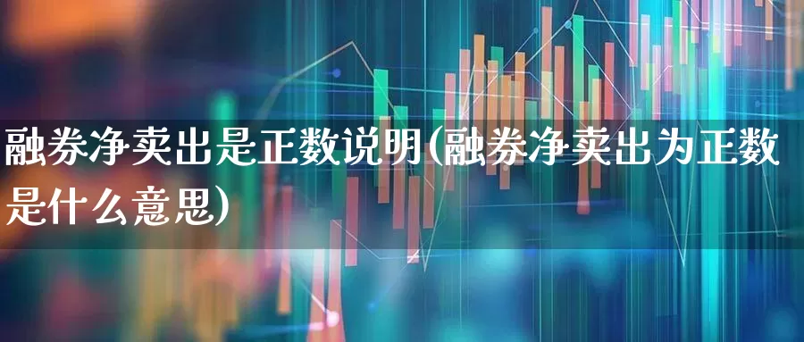 融券净卖出是正数说明(融券净卖出为正数是什么意思)_https://www.xzdzchf.com_深交所_第1张