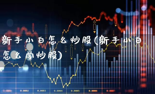 新手小白怎么炒股(新手小白怎么学炒股)_https://www.xzdzchf.com_创业板_第1张