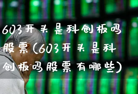 603开头是科创板吗股票(603开头是科创板吗股票有哪些)_https://www.xzdzchf.com_创业板_第1张