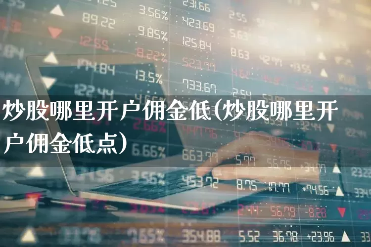 炒股哪里开户佣金低(炒股哪里开户佣金低点)_https://www.xzdzchf.com_科创板_第1张