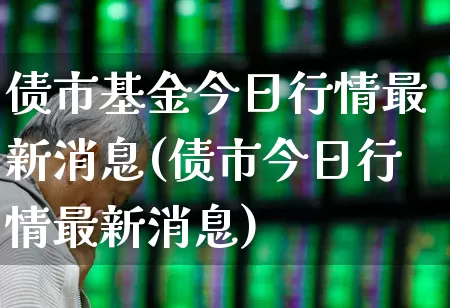 债市基金今日行情最新消息(债市今日行情最新消息)_https://www.xzdzchf.com_上交所_第1张