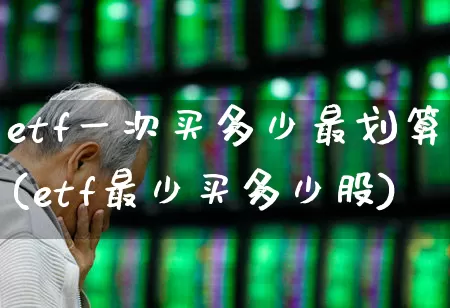 etf一次买多少最划算(etf最少买多少股)_https://www.xzdzchf.com_北交所_第1张