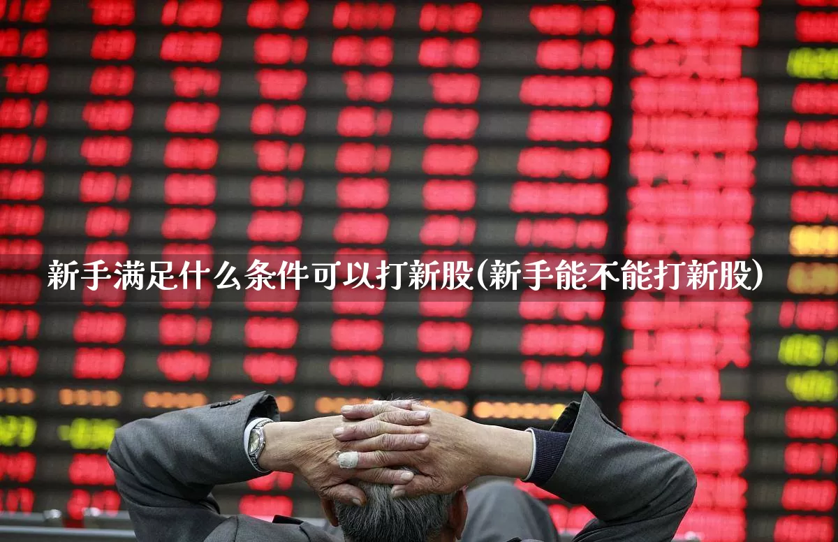 新手满足什么条件可以打新股(新手能不能打新股)_https://www.xzdzchf.com_深交所_第1张