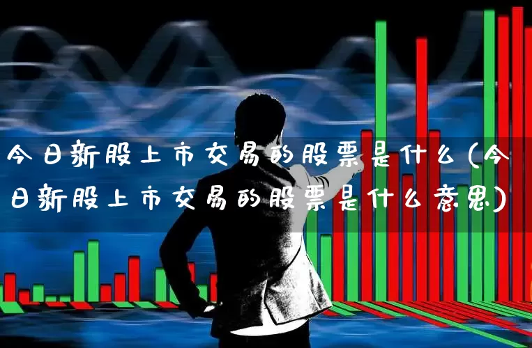 今日新股上市交易的股票是什么(今日新股上市交易的股票是什么意思)_https://www.xzdzchf.com_北交所_第1张