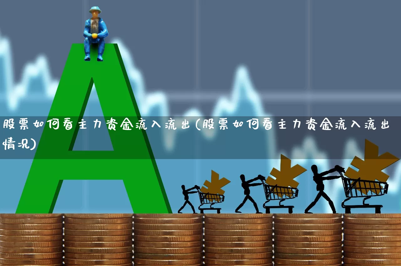 股票如何看主力资金流入流出(股票如何看主力资金流入流出情况)_https://www.xzdzchf.com_北交所_第1张