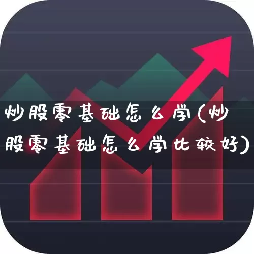 炒股零基础怎么学(炒股零基础怎么学比较好)_https://www.xzdzchf.com_深交所_第1张