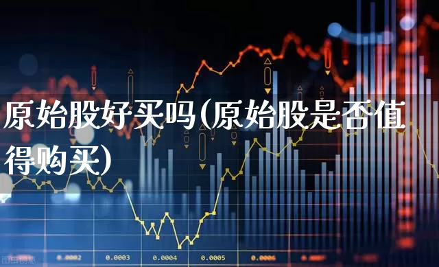 原始股好买吗(原始股是否值得购买)_https://www.xzdzchf.com_深交所_第1张