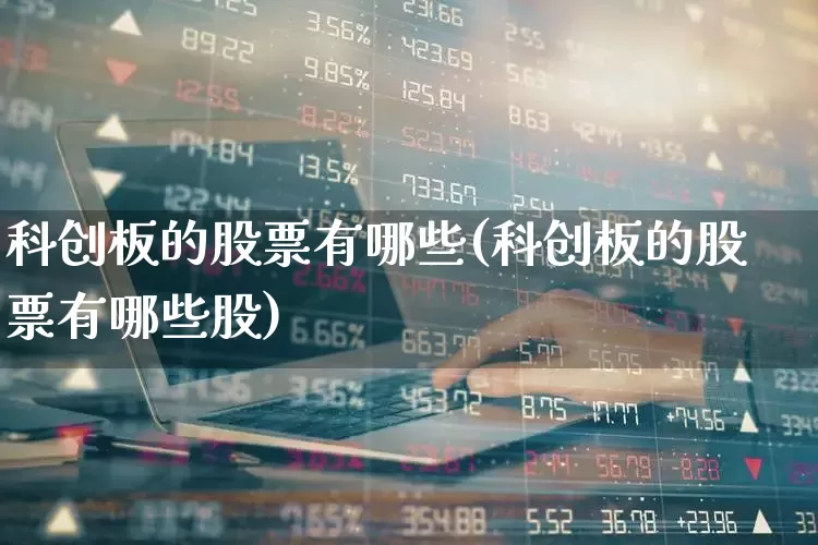 科创板的股票有哪些(科创板的股票有哪些股)_https://www.xzdzchf.com_北交所_第1张