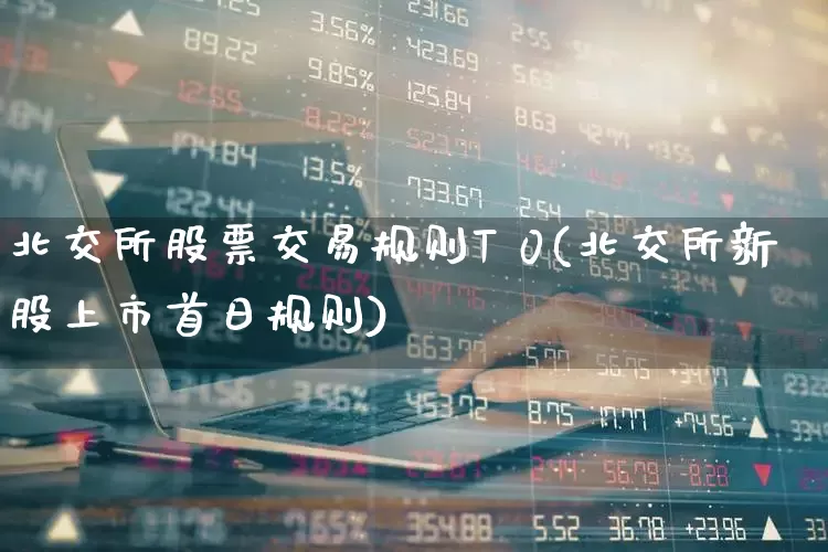 北交所股票交易规则T 0(北交所新股上市首日规则)_https://www.xzdzchf.com_创业板_第1张