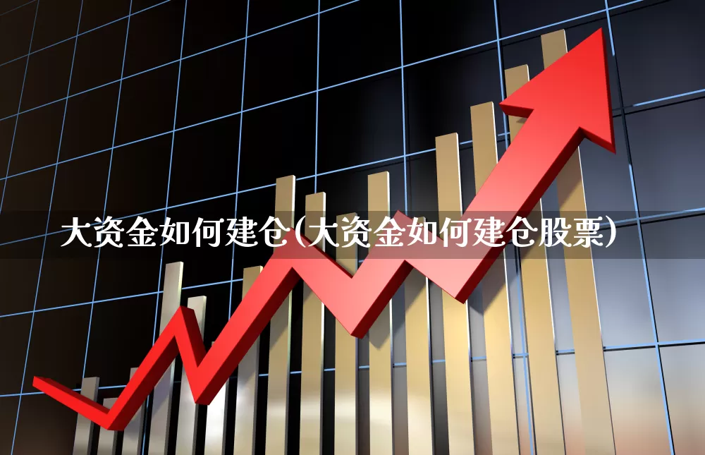 大资金如何建仓(大资金如何建仓股票)_https://www.xzdzchf.com_创业板_第1张