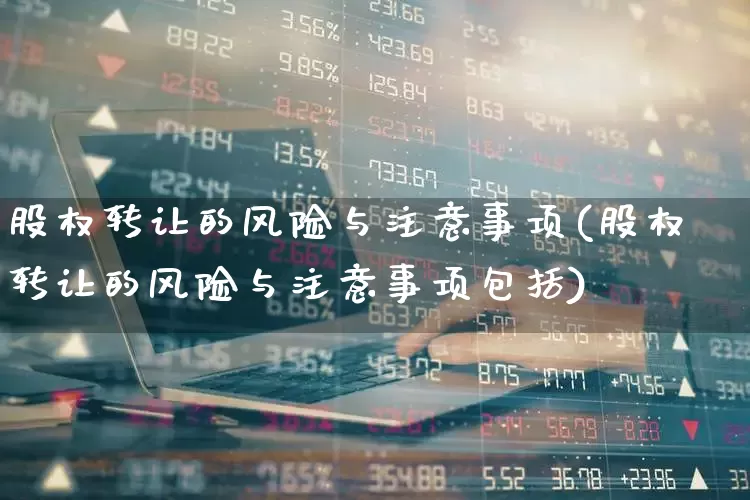 股权转让的风险与注意事项(股权转让的风险与注意事项包括)_https://www.xzdzchf.com_北交所_第1张