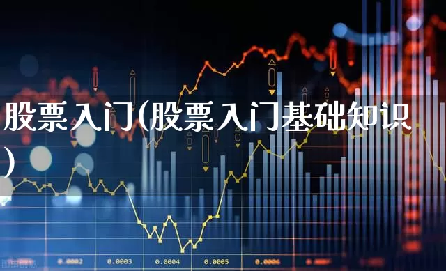 股票入门(股票入门基础知识)_https://www.xzdzchf.com_创业板_第1张