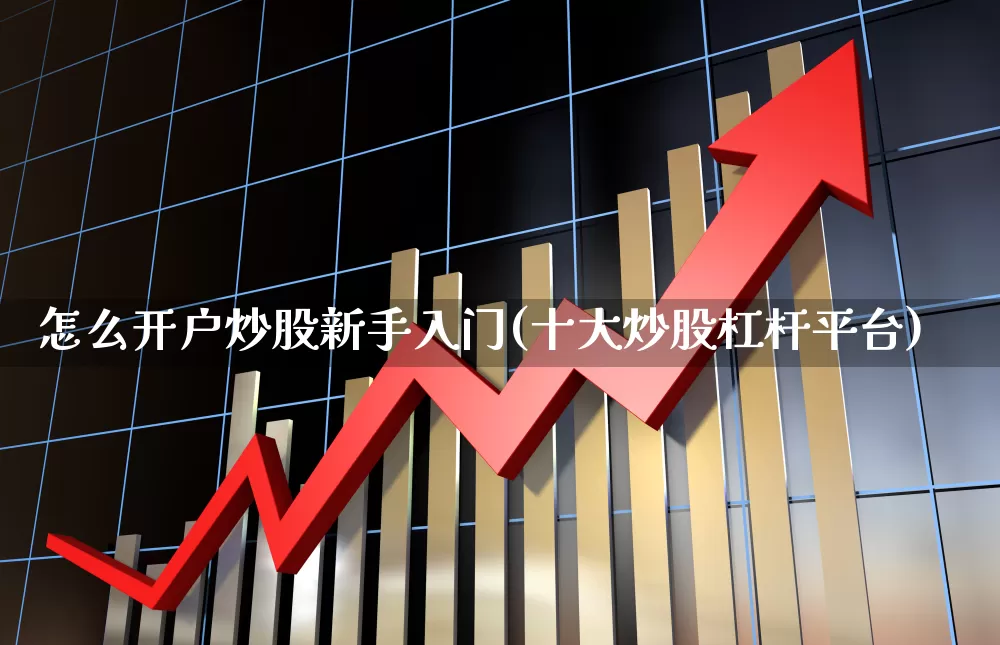 怎么开户炒股新手入门(十大炒股杠杆平台)_https://www.xzdzchf.com_科创板_第1张