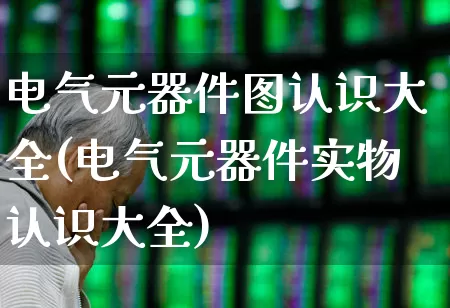 电气元器件图认识大全(电气元器件实物认识大全)_https://www.xzdzchf.com_创业板_第1张